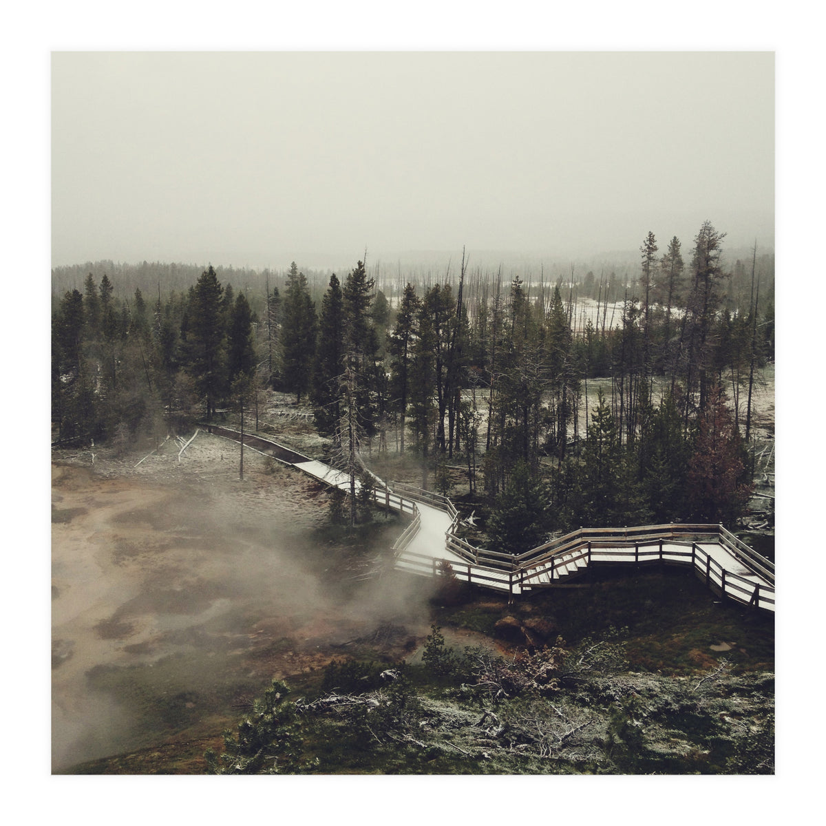 Artists Paint Pots (Print Only)