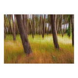 Amongst The Trees (Print Only) thumbnail
