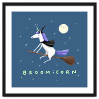Broomicorn