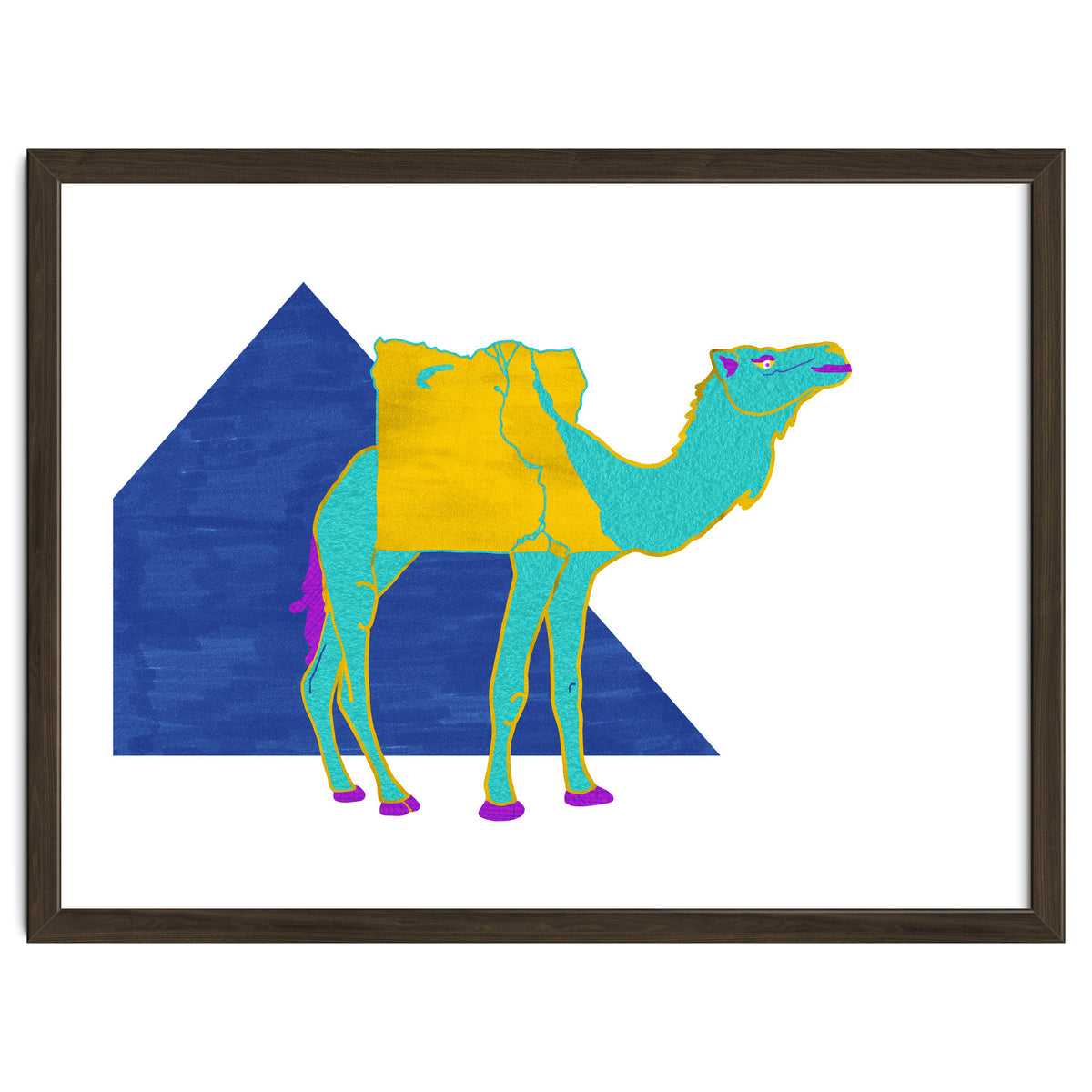 Egyptian Dromedary