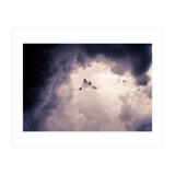 Lltt (Print Only) thumbnail