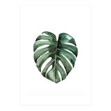Botanical Illustration Monstera Deliciosa (Print Only) thumbnail