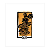 Fiddle Leaf Fig Clean + Sunlight (Print Only) thumbnail