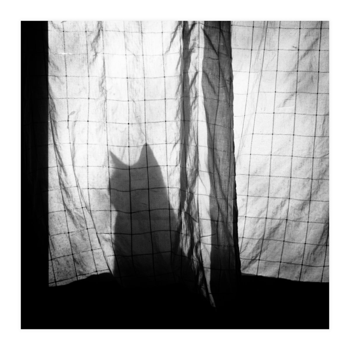 Mr. Wallace (Print Only)