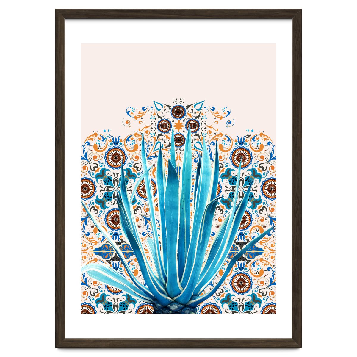 Cactus and Moroccan tiles