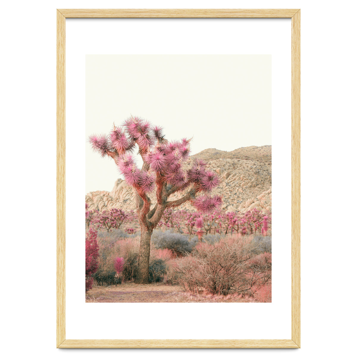 Boho Joshua Tree Cactus