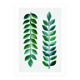 Hawaiian Vines (Print Only) thumbnail