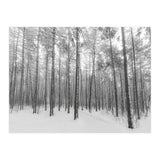 Let It Snow Forest (Print Only) thumbnail