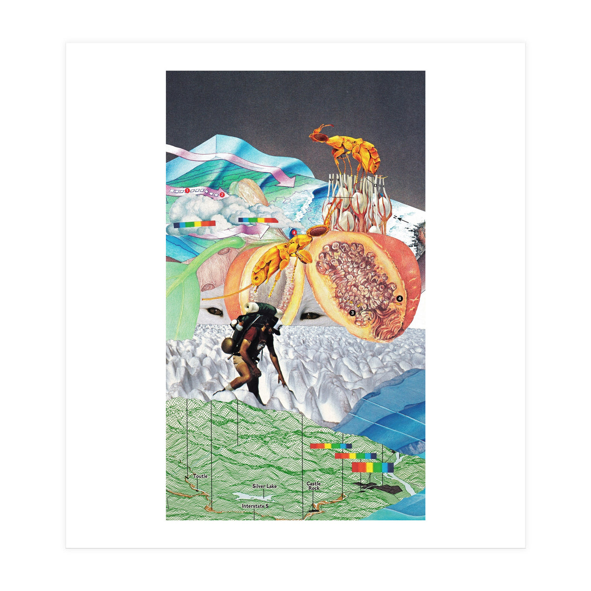 Wonderland (Print Only)