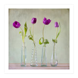 Tulips (Print Only) thumbnail