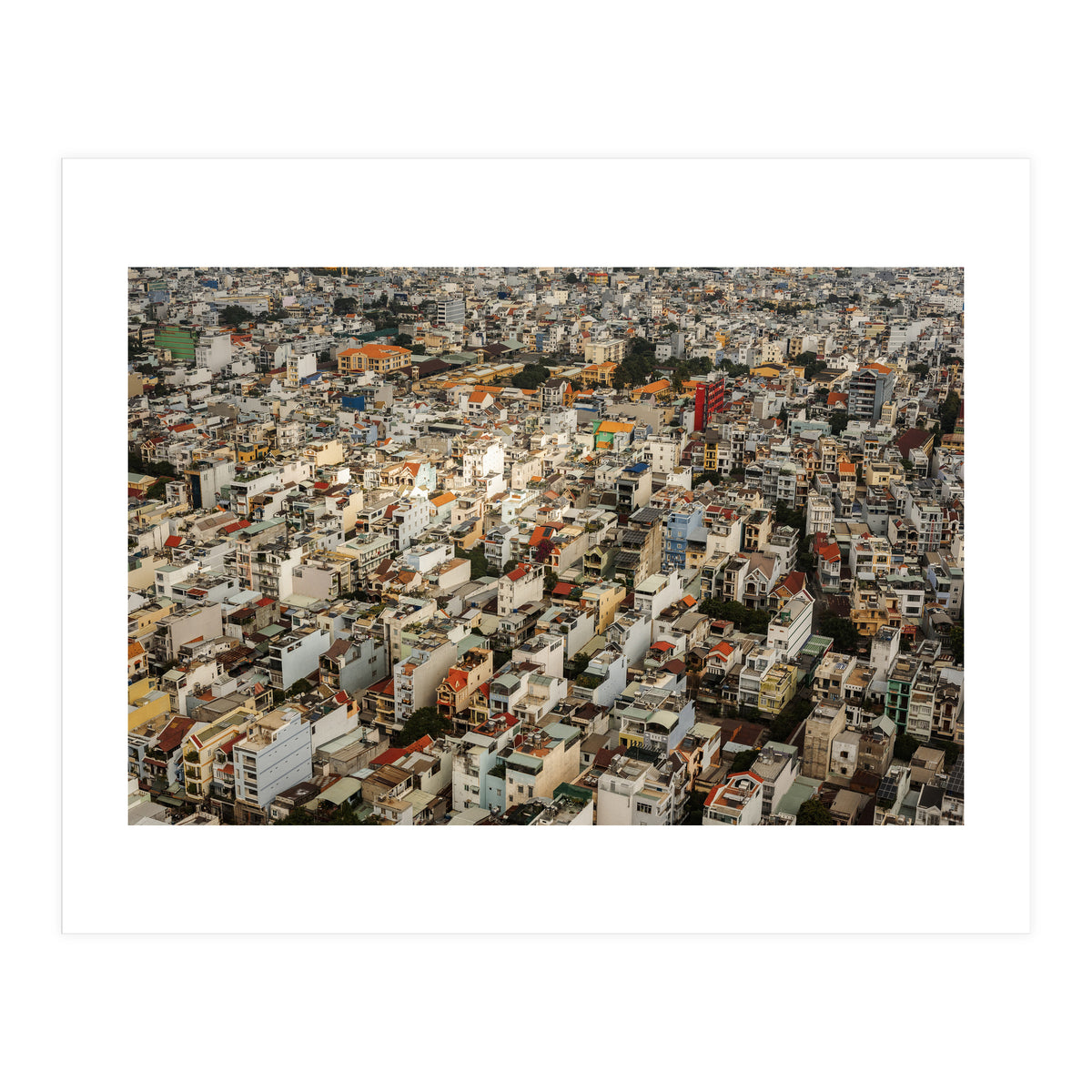 Concrete Jungle (Print Only)