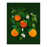 Oranges and Blossoms (Print Only) thumbnail