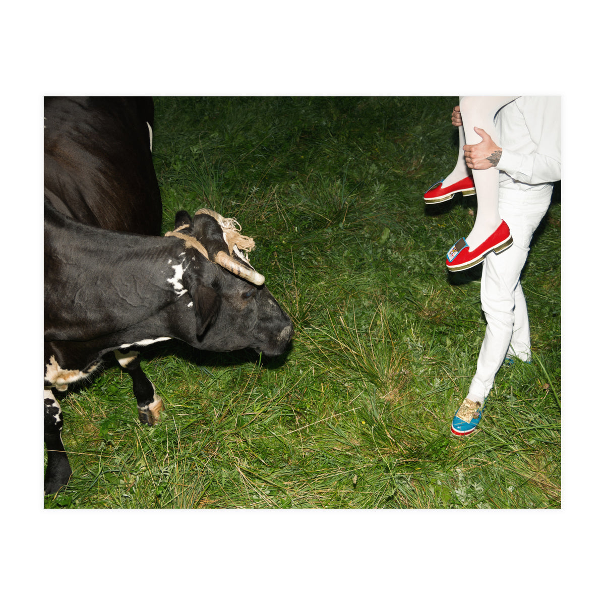 Moooooooooooo Means No! (Print Only)