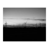 Windmills at sunset (Print Only) thumbnail