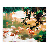 Flamingo Sighting (Print Only) thumbnail