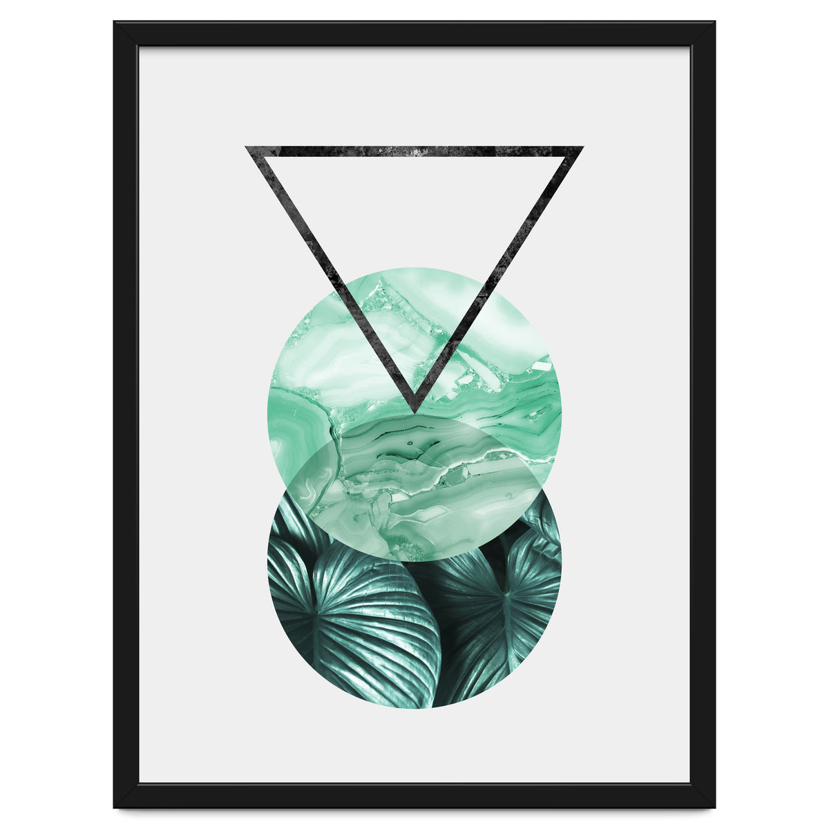 Botanical and geometric II