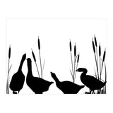 Geeses  (Print Only) thumbnail