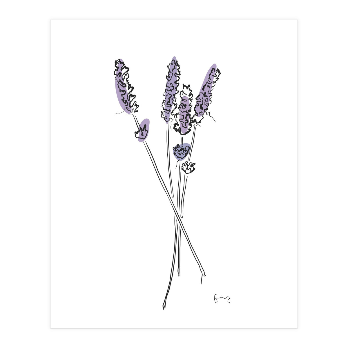 Lavender (Print Only)