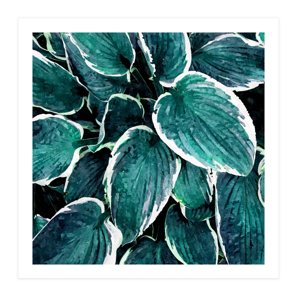 Sacred Edge (Print Only)