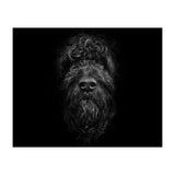 Ziggy Portrait No 2 (Print Only) thumbnail