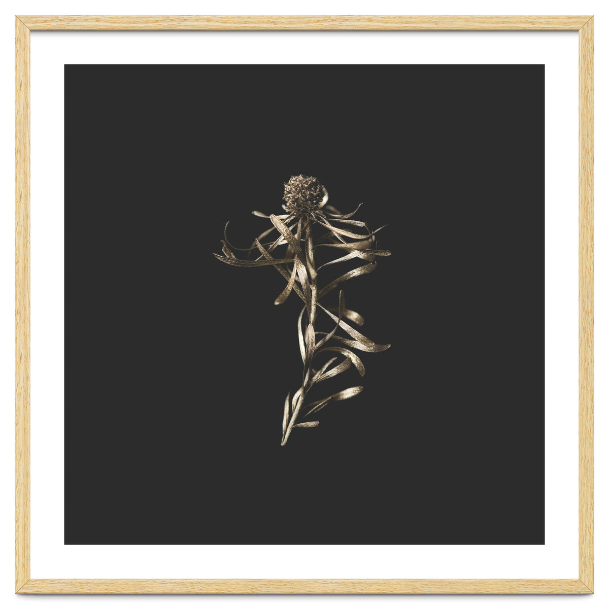 Magical Golden Fynbos - Square