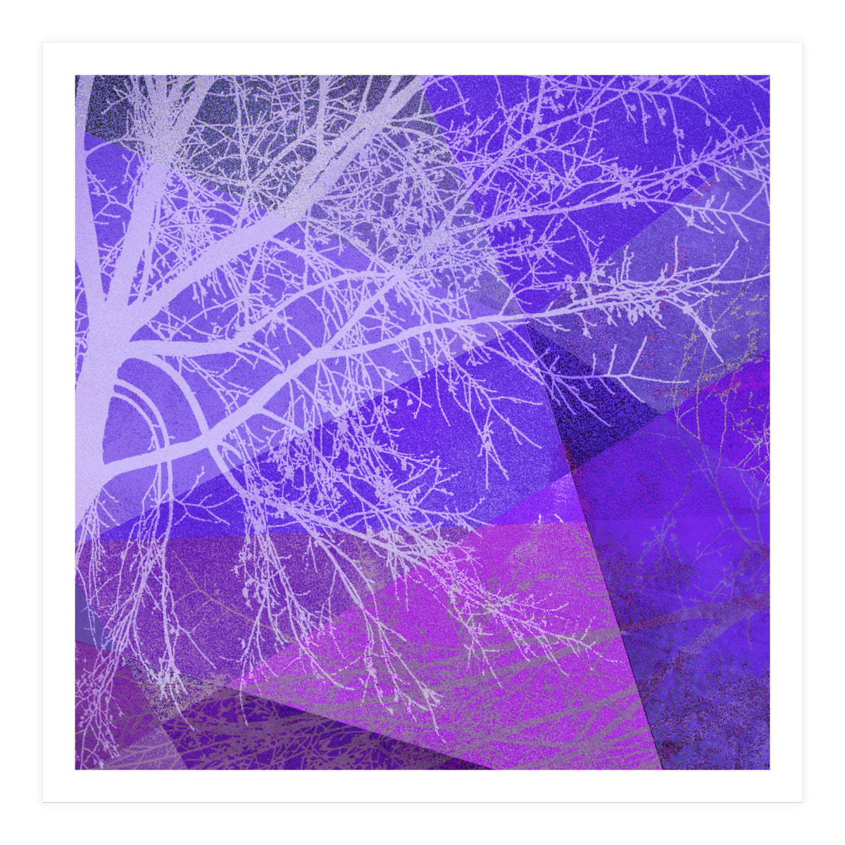 P19-D2 Trees and Triangles (Print Only)