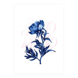 rosa blu (Print Only) thumbnail