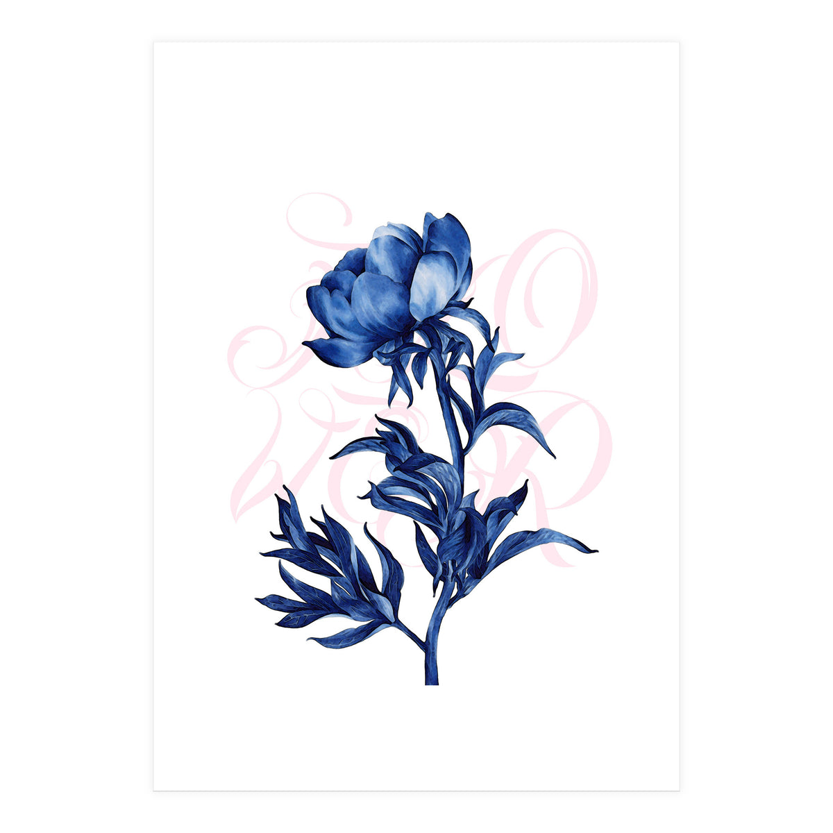 rosa blu (Print Only)