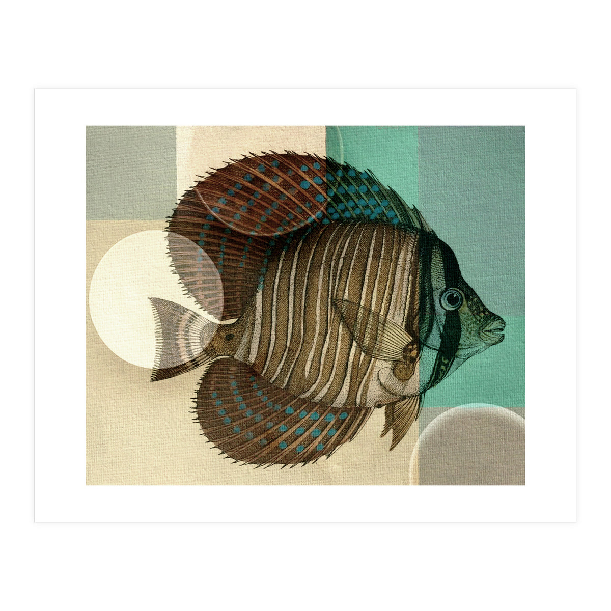 Fish Between Circles 4 (Print Only)