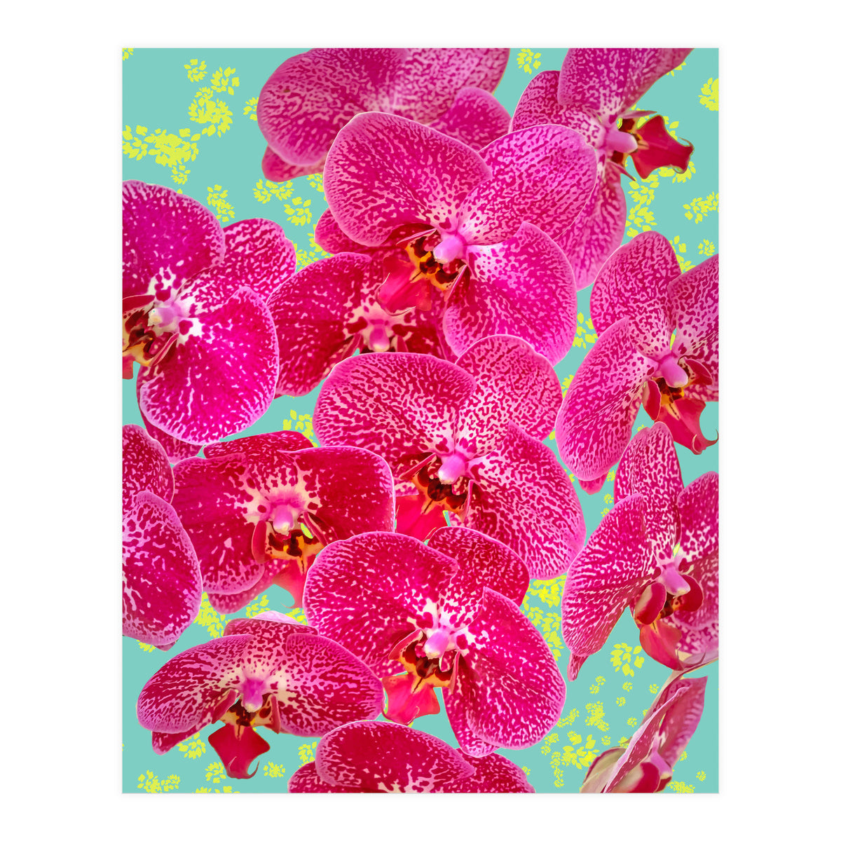 Finding My Way Back To Myself, Botanical Nature Plants Floral, Flowers Garden Colorful Boho Painting Summer Blossom (Print Only)