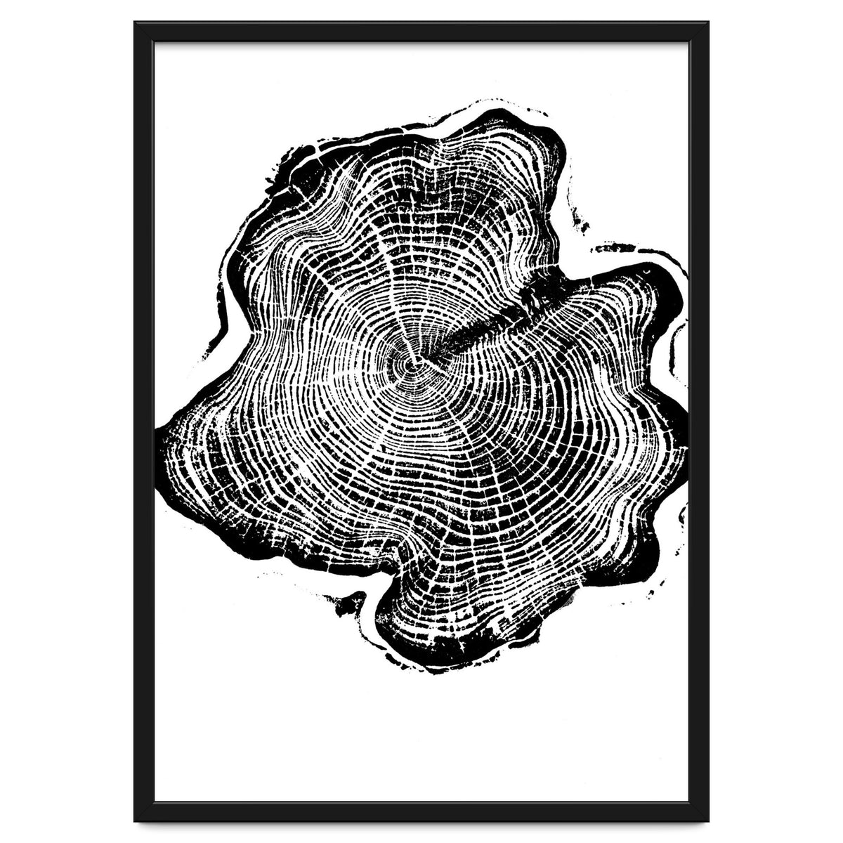 Alaskan Cypress, Tree Ring Art Print, Woodblock