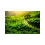 Nature (Print Only) thumbnail