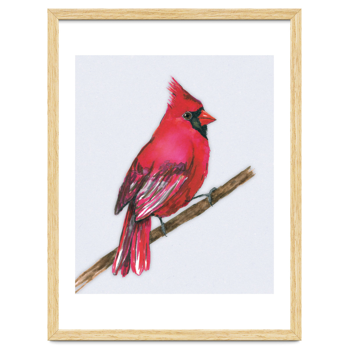 A Northern cardinal watercolor