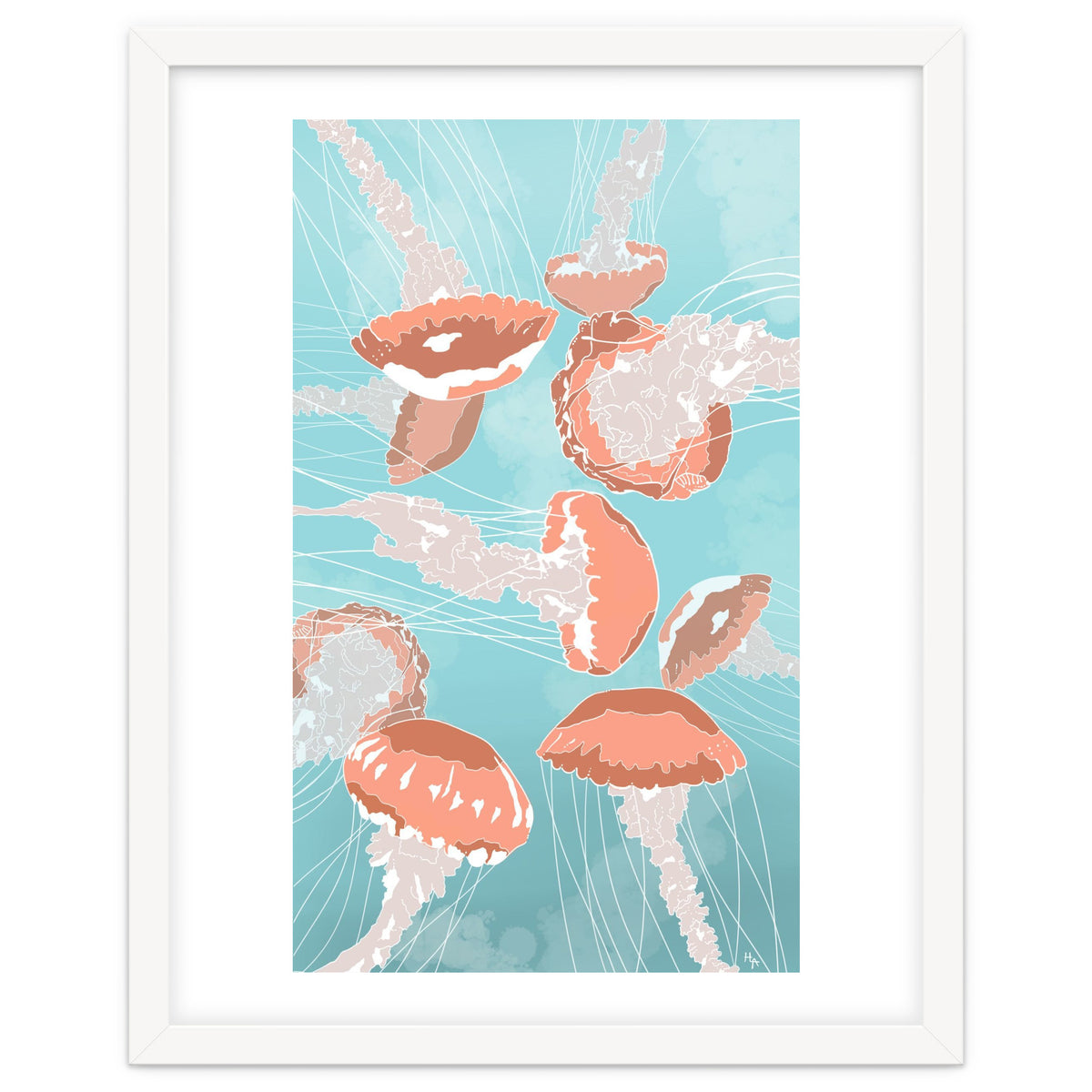 Jellyfish