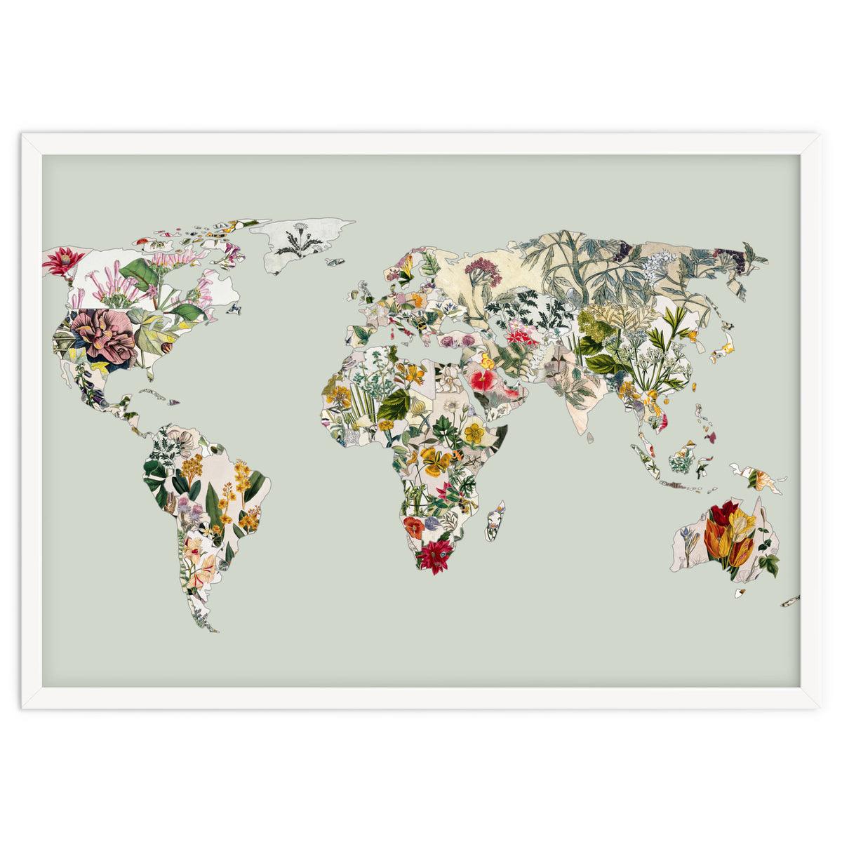 Vintage Botanical Map - Green