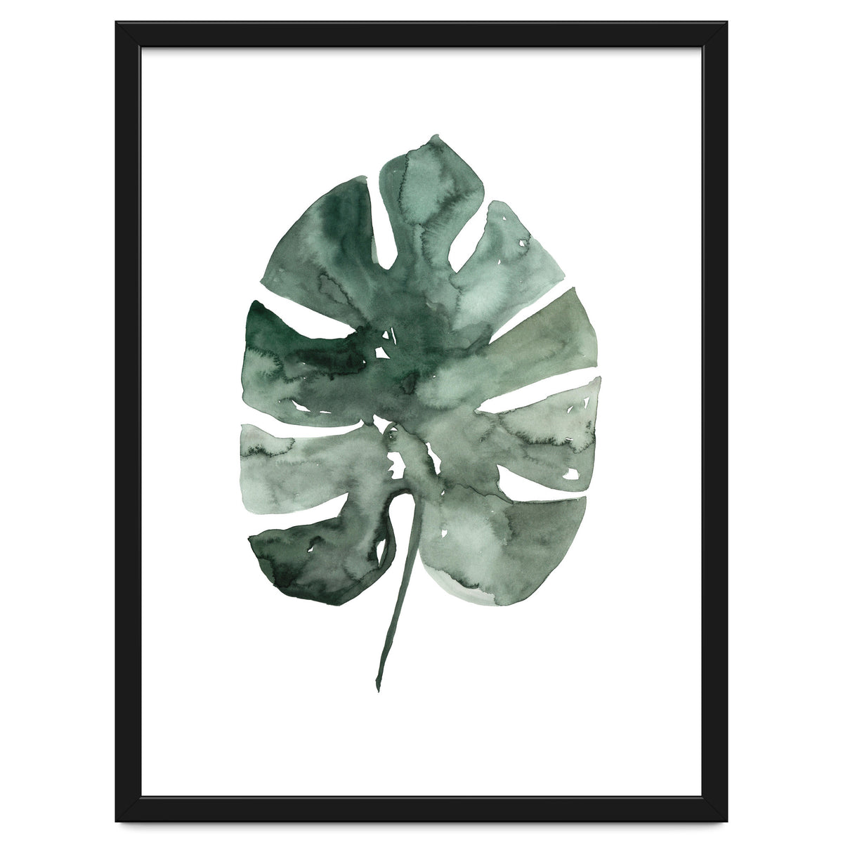 Botanical Illustration Monstera Leaf