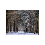 Dog Walkers in the Snow.  Heath Warren - Hampshire (Print Only) thumbnail