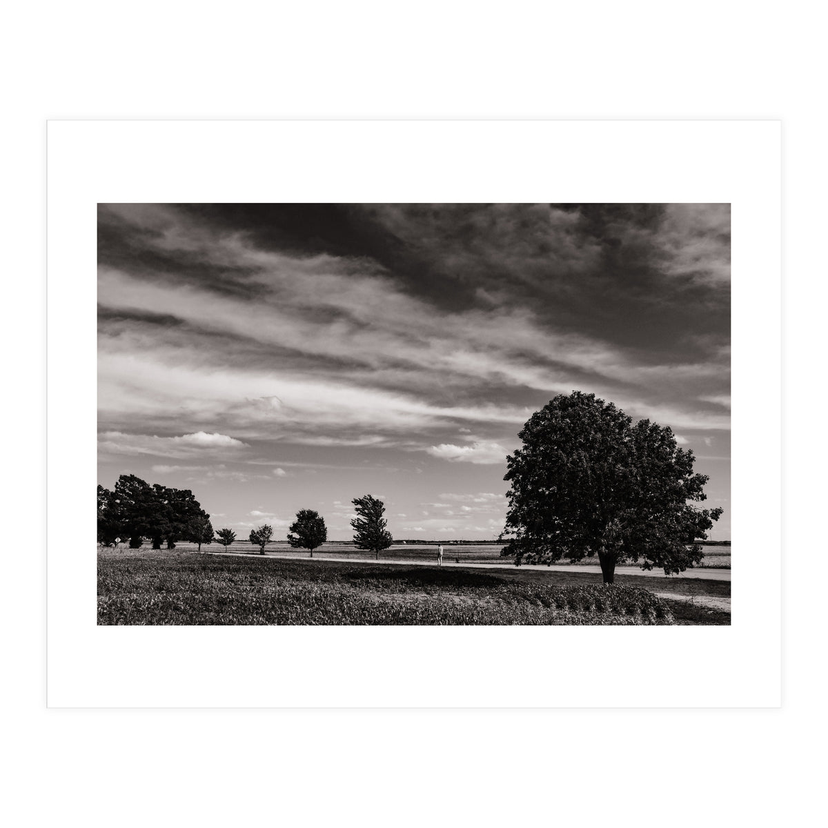 Country Road, Illinois  (Print Only)