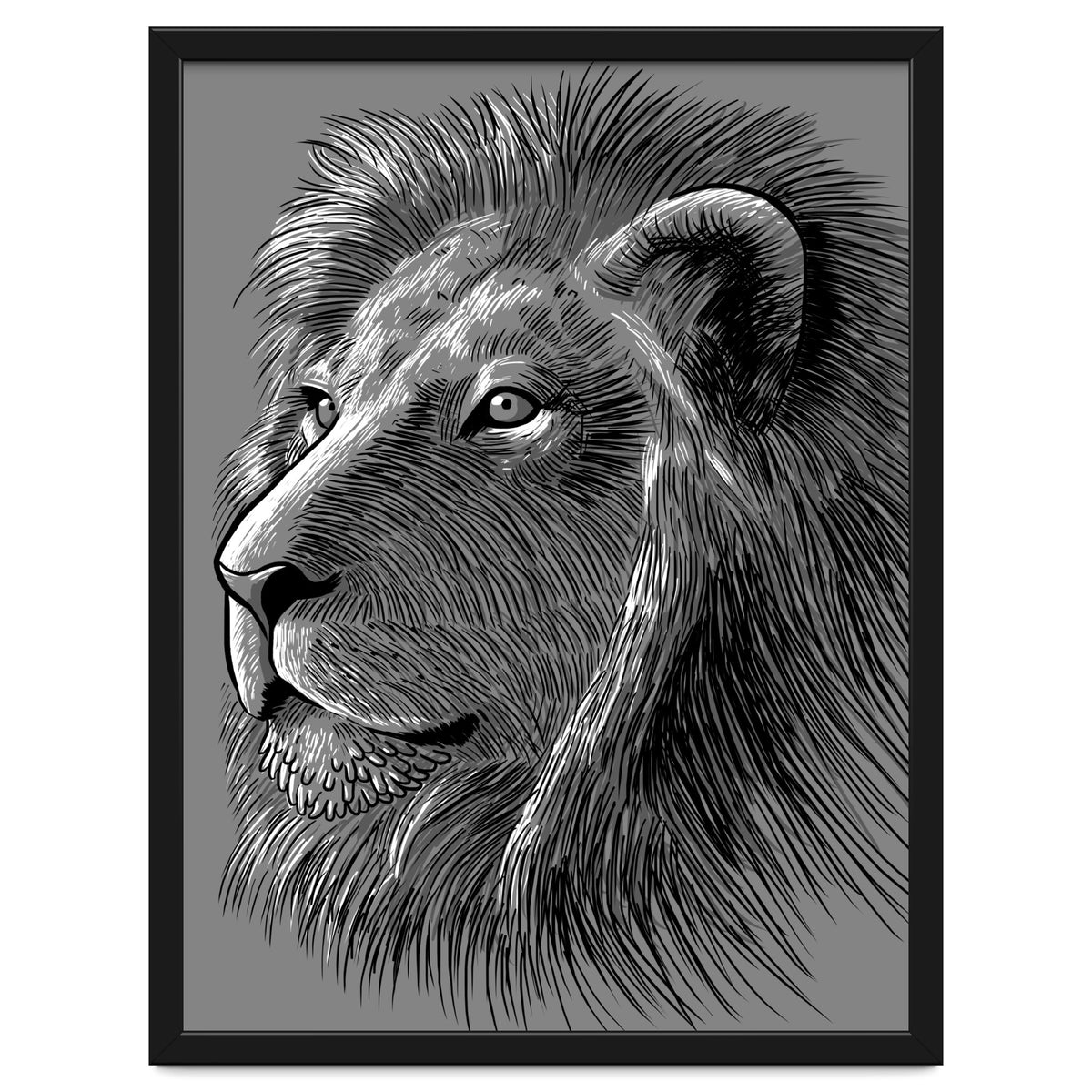 Sketch Lion