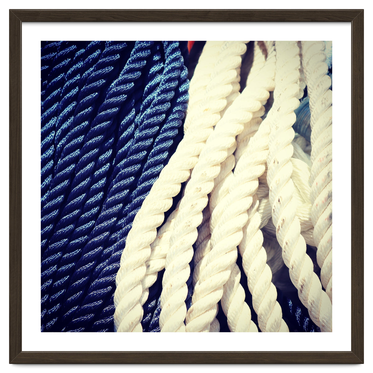 Blue and white fishing rope