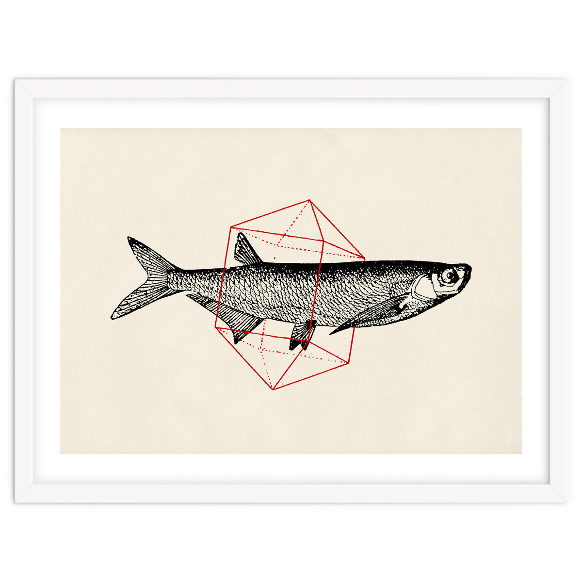 Fish In Geometrics II