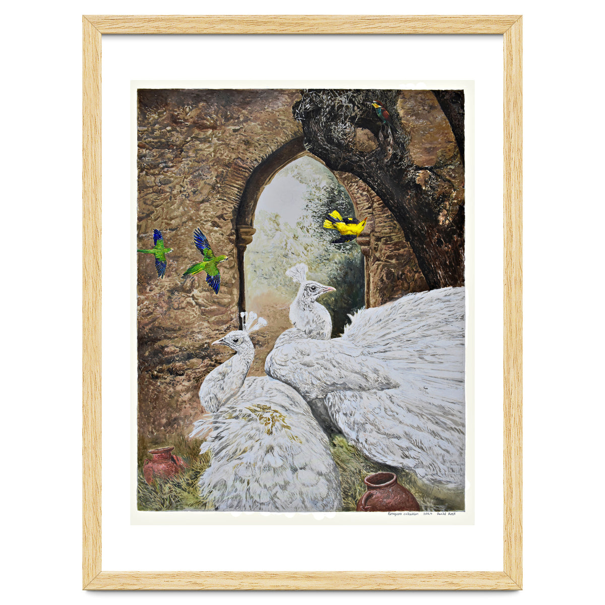 Portuguese Collection