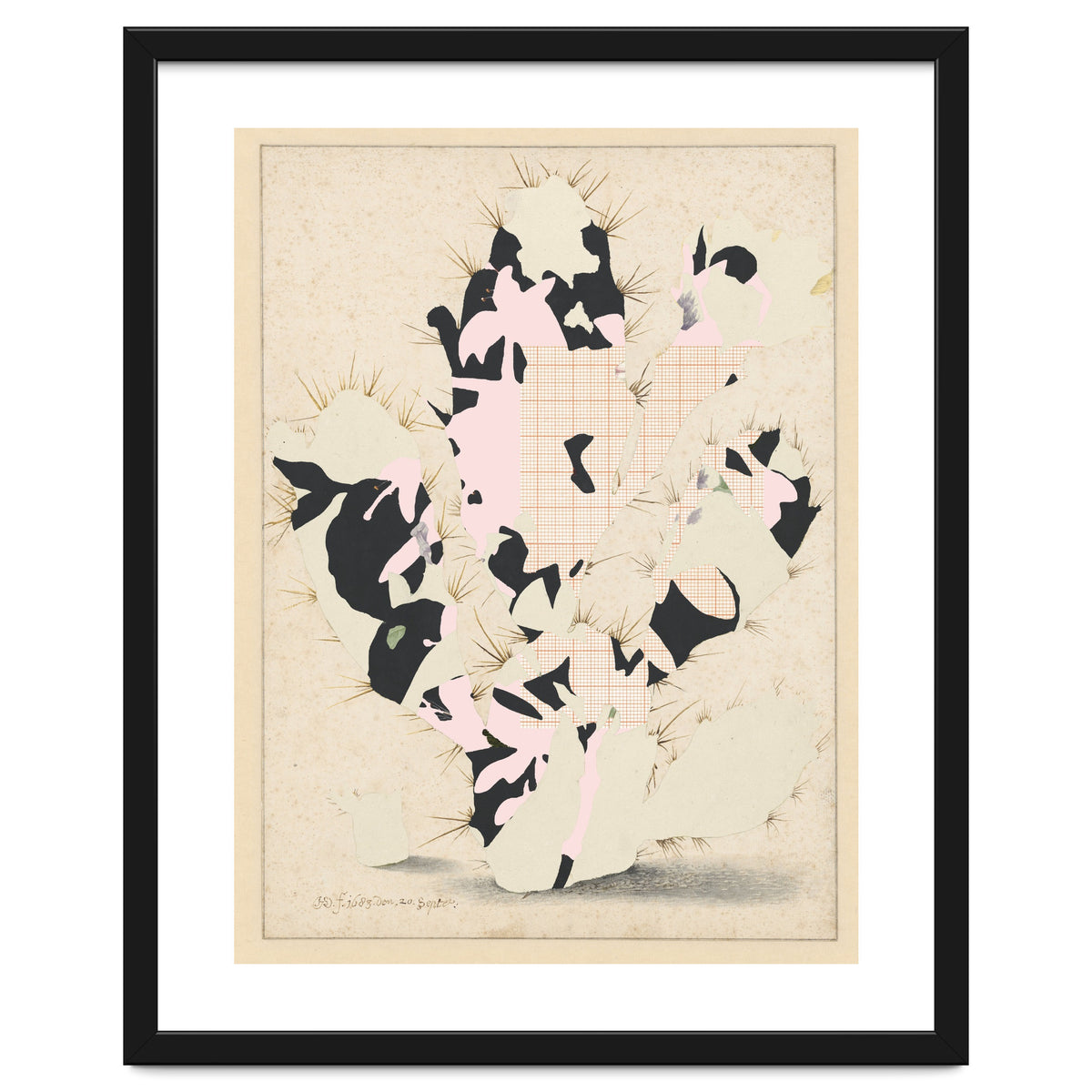 The First Plant · E