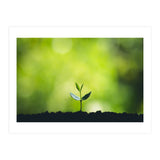 Plant in Nature (Print Only) thumbnail