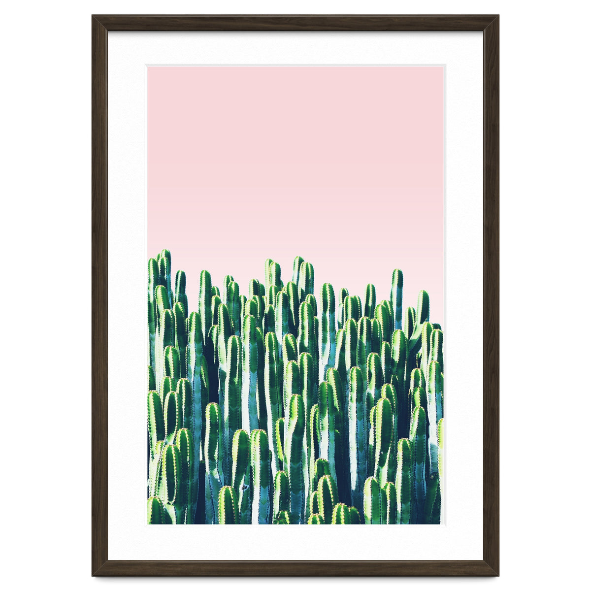 Cactus & Sunset I