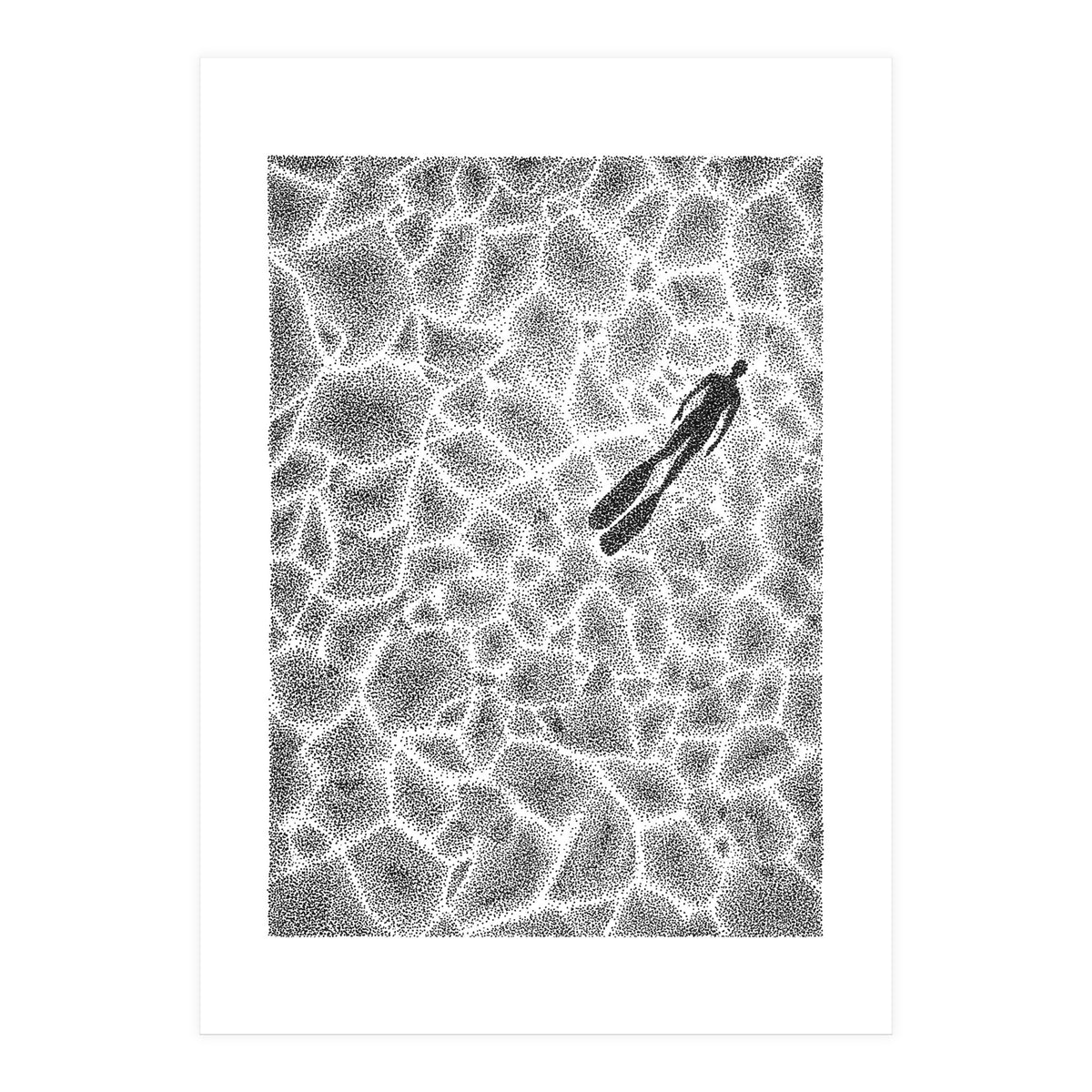 Beneath The Ice (Print Only)