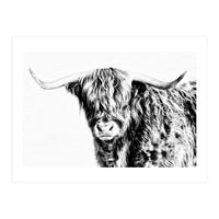 Highland bull (Print Only)