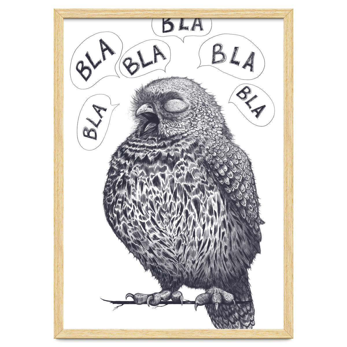 Owl Bla Bla Bla