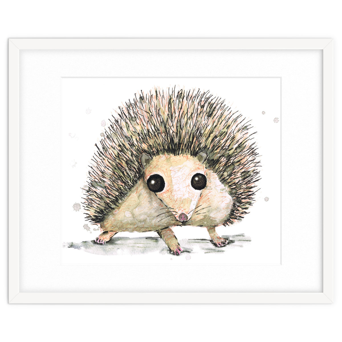 Hedgehog
