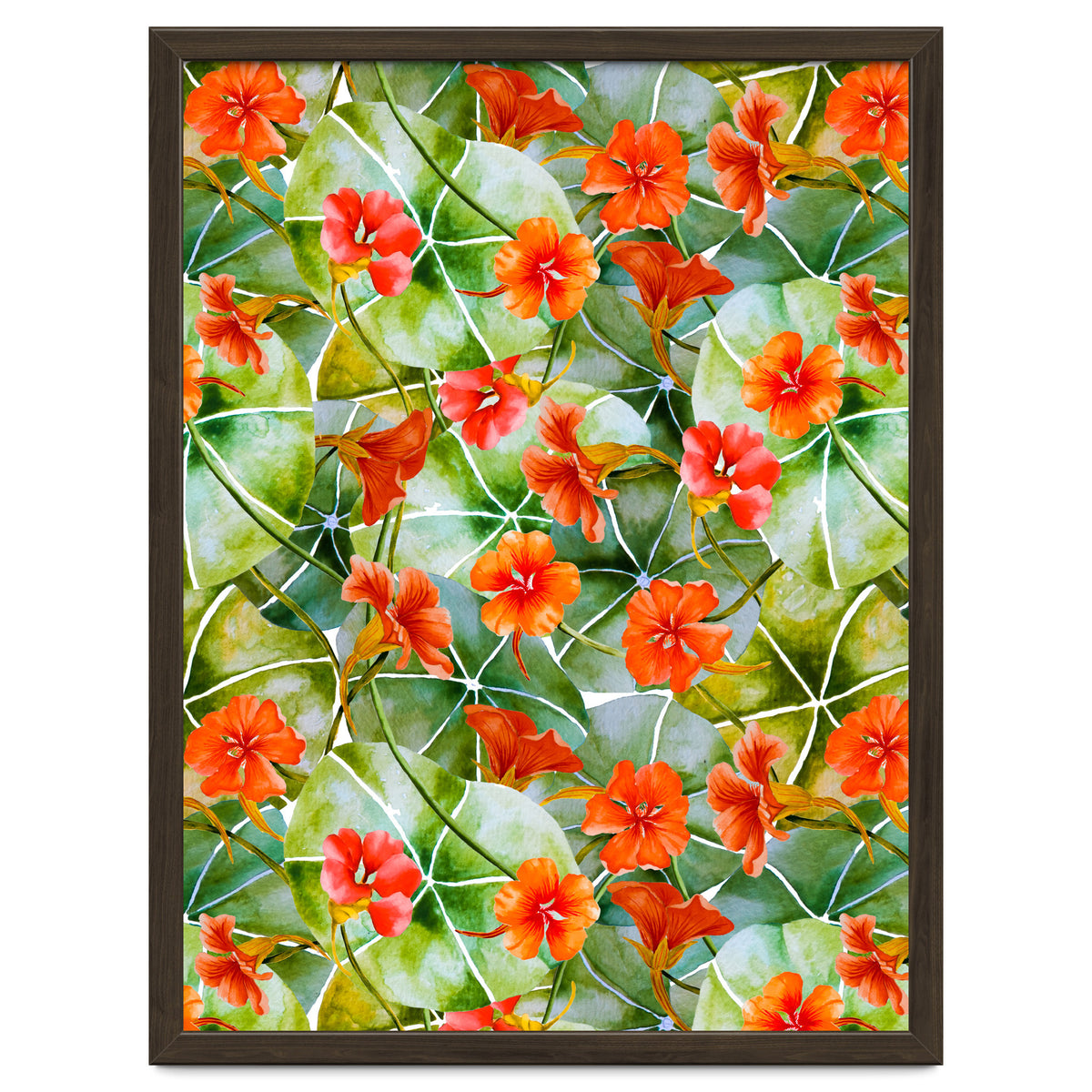 Nasturtiums watercolor 01